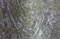 New Wortley fibreglass roof work